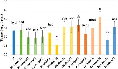 Genomic versus phenotypic selection to improve corn borer resistance and grain yield in maize